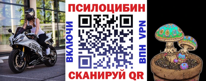 Псилоцибиновые грибы Psilocybine cubensis  Купить закладки  Ленск 